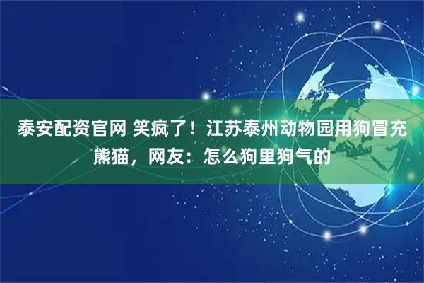 泰安配资官网 笑疯了！江苏泰州动物园用狗冒充熊猫，网友：怎么狗里狗气的