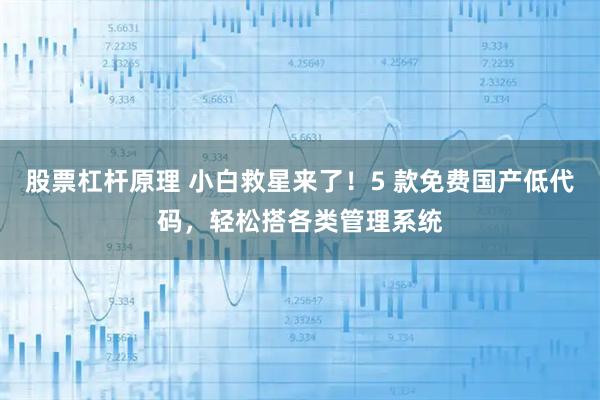 股票杠杆原理 小白救星来了！5 款免费国产低代码，轻松搭各类管理系统
